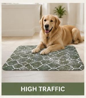 Premium Non-Slip Door Mat – Stylish, Durable & Super Absorbent Floor Mat for Indoor & Outdoor Use